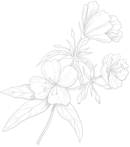 decorative image